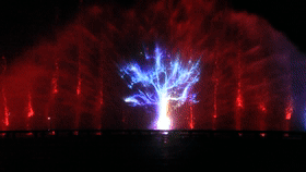 树.gif