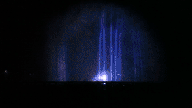 白鹭.gif